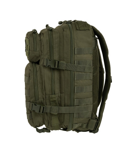 Рюкзак тактичний Mil-Tec ASSAULT S, Olive (14002001)