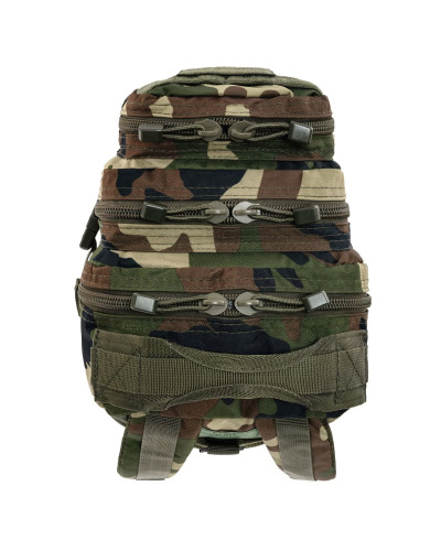 Рюкзак тактичний Mil-Tec ASSAULT S, Woodland (14002020)