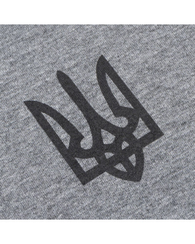 Футболка з малюнком Тризуб Logo, Grey melange (UA281-29891-GM-TRL)