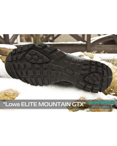 Ботинки Lowa ELITE MOUNTAIN GTX, black (210890/999)